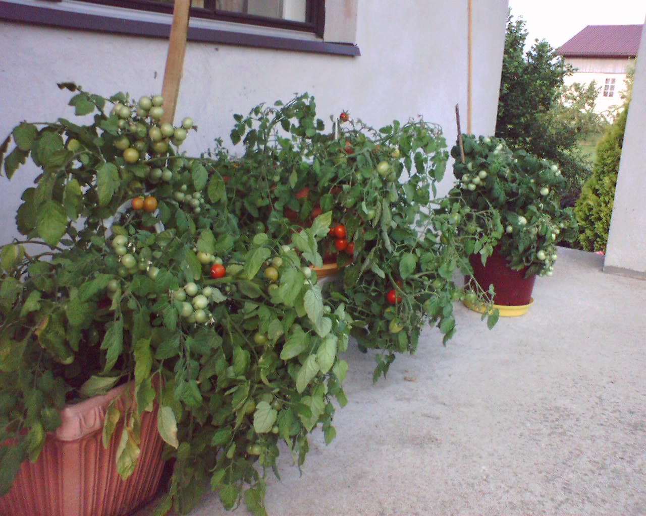 Balkonas
