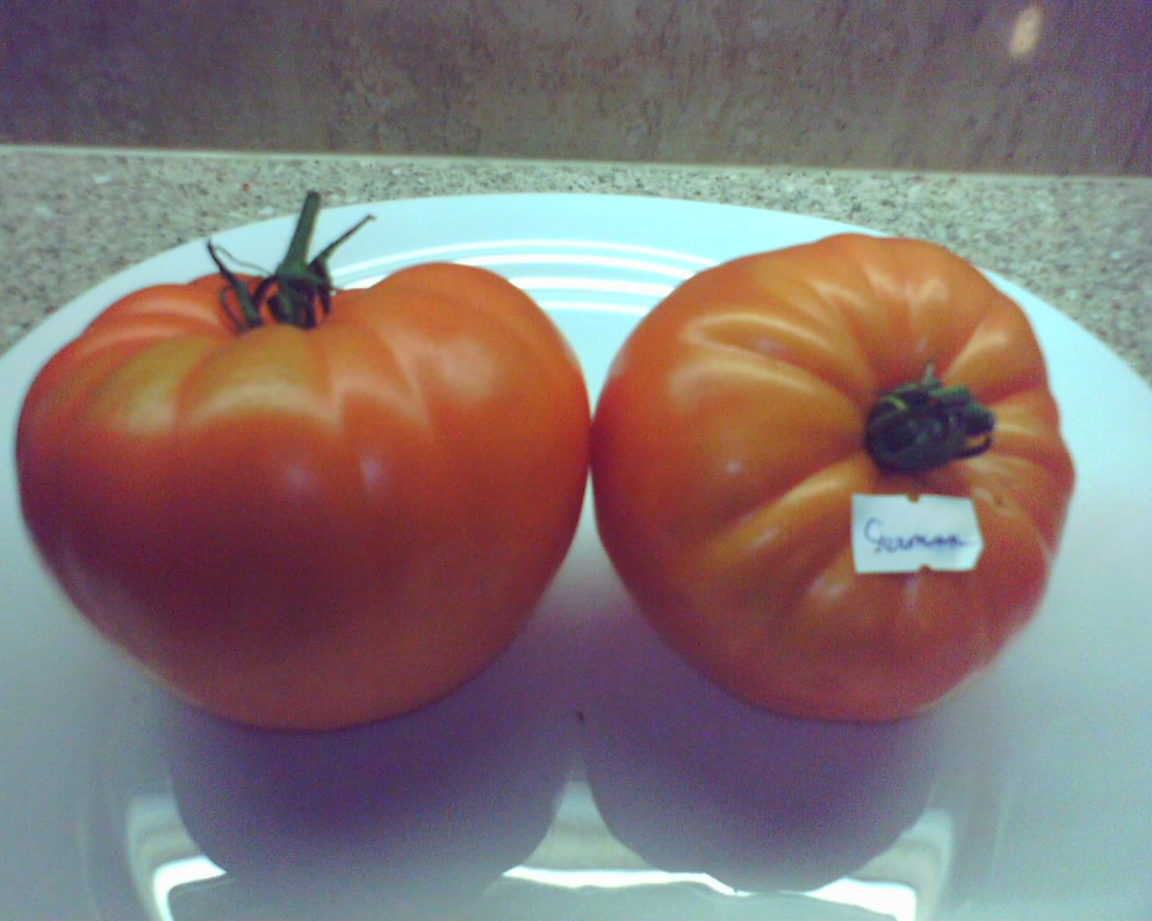 German_Orange_Strawberry_3