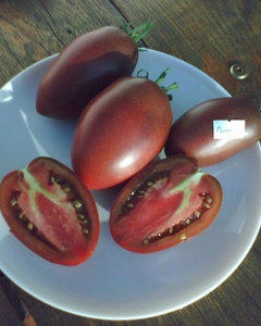 Purple_Russian_Plum_cut2