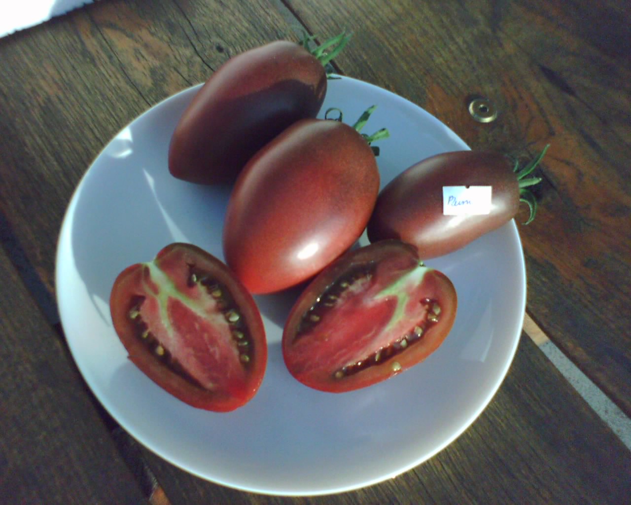Purple_Russian_Plum_cut2