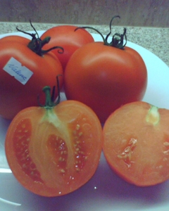 Valencia_cut