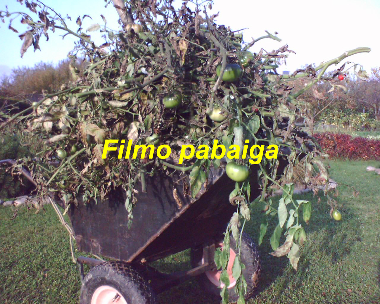 viskas_20131013